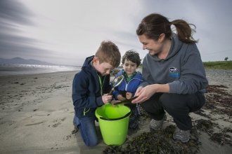 Kids looking at shark egg cases 