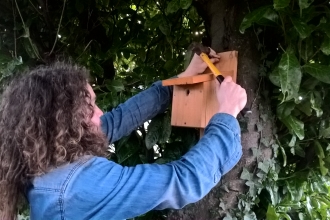 UW Nature Reserve Officer putting up a Bird Box