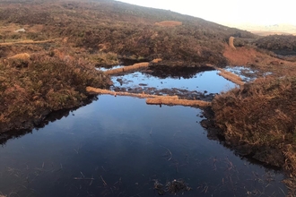 Coir in place with pooled water