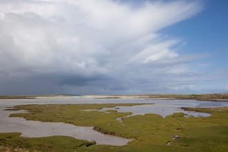 Saltmarsh (c) Peter Cairns 2020 Vision