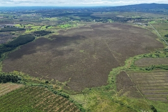 Peatlands Placement An Creagan ImAGE