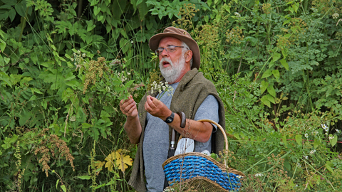 Coastal Foraging Cushendall 2018 Dermot