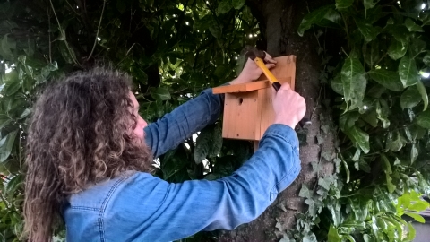 UW Nature Reserve Officer putting up a Bird Box