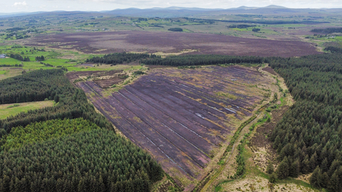 Haughey's Bog (foreground) with Black Bog SAC behind