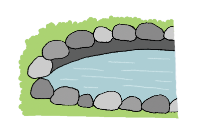 Pond Step 5