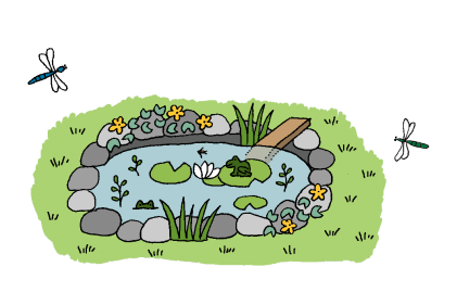 Pond Step 7