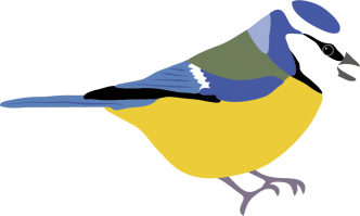 Blue tit