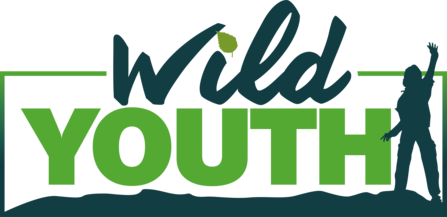 Wild Youth logo