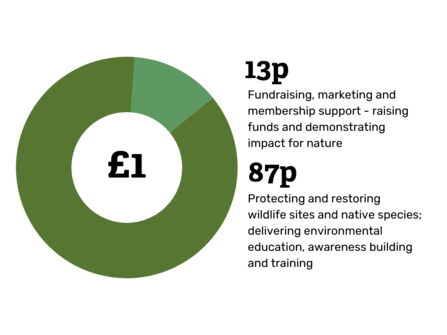 Donation Impact Infographic 2024