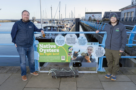 New native oyster nursery at Carrickfergus Marina 