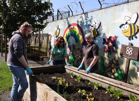 Glentoran Social Partnership